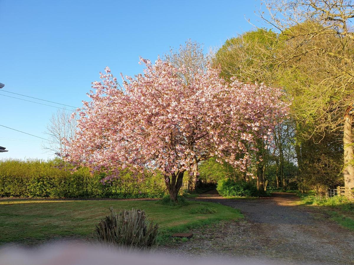 Carncairn Villa Broughshane Luaran gambar