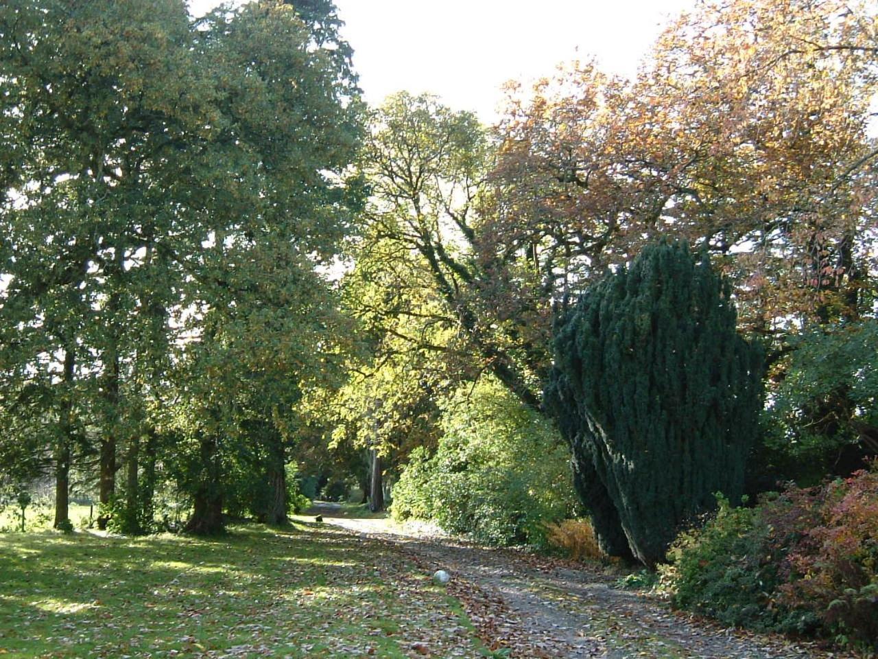 Carncairn Villa Broughshane Luaran gambar